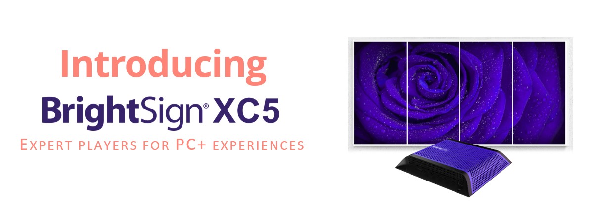 XC5 banner 
